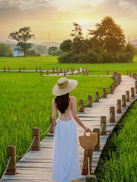 Tailor a Private Tour