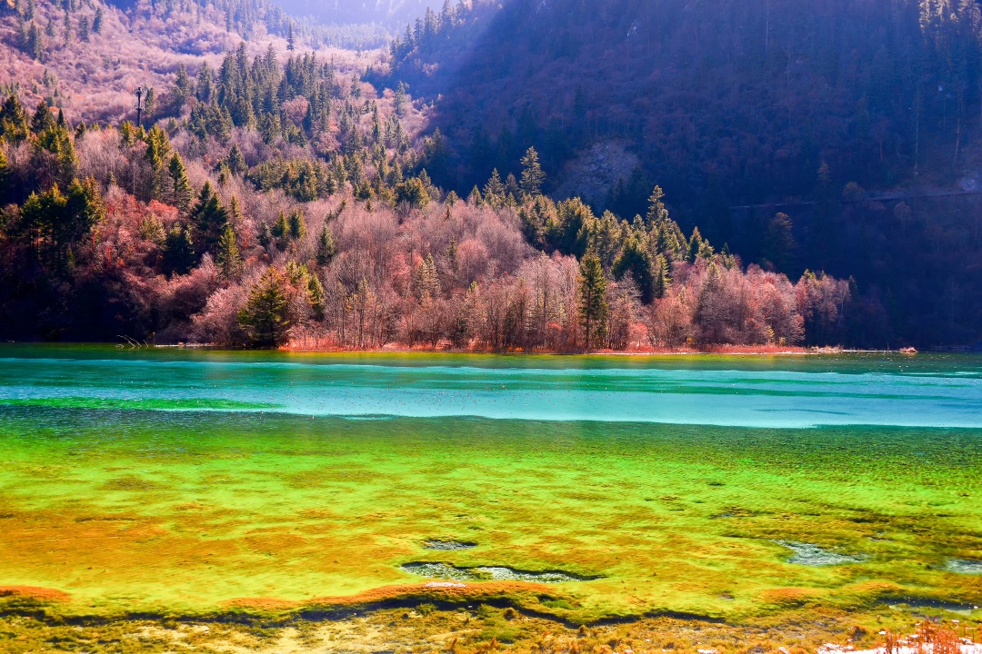 Escape to Nature: 3-Day Express Tour to Jiuzhaigou from Chengdu