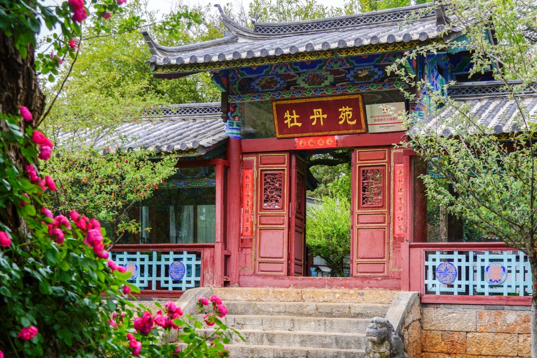 Black Dragon Pool Park